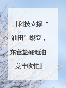 科技支撑“油田”蜕变，东营盐碱地油菜丰收忙