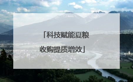 科技赋能夏粮收购提质增效