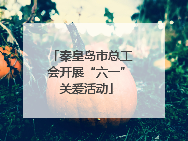 秦皇岛市总工会开展“六一”关爱活动