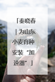 秦晓春｜为山东小麦育种安装“加速器”