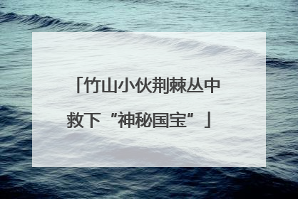 竹山小伙荆棘丛中救下“神秘国宝”
