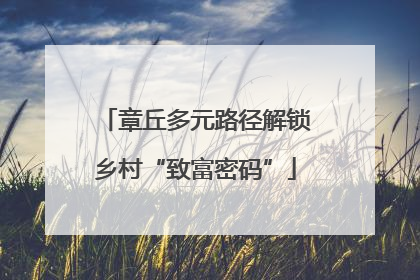 章丘多元路径解锁乡村“致富密码”
