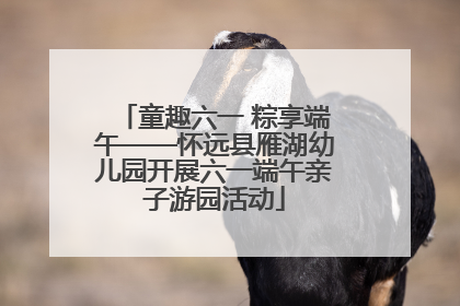 童趣六一 粽享端午——怀远县雁湖幼儿园开展六一端午亲子游园活动