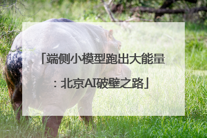 端侧小模型跑出大能量：北京AI破壁之路