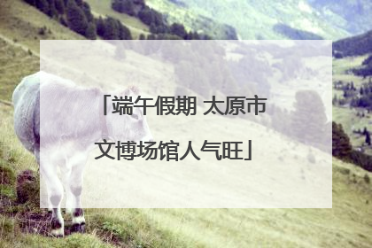 端午假期 太原市文博场馆人气旺