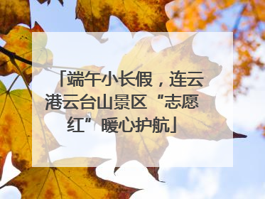 端午小长假，连云港云台山景区“志愿红”暖心护航