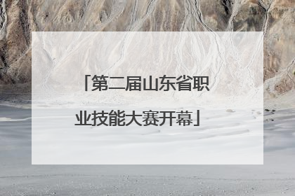 第二届山东省职业技能大赛开幕