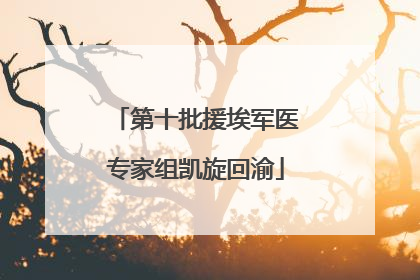 第十批援埃军医专家组凯旋回渝