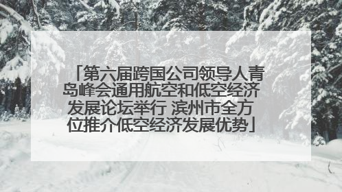 第六届跨国公司领导人青岛峰会通用航空和低空经济发展论坛举行 滨州市全方位推介低空经济发展优势
