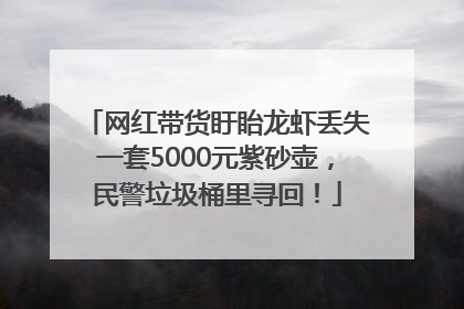 网红带货盱眙龙虾丢失一套5000元紫砂壶，民警垃圾桶里寻回！