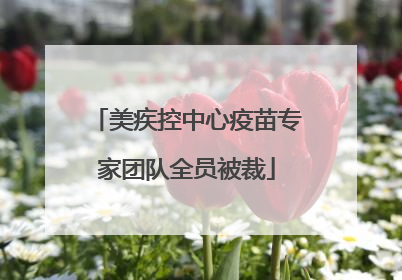 美疾控中心疫苗专家团队全员被裁