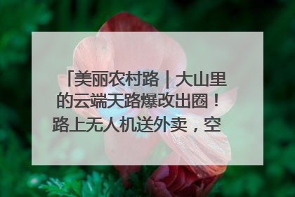 美丽农村路｜大山里的云端天路爆改出圈！路上无人机送外卖，空心村变网红村