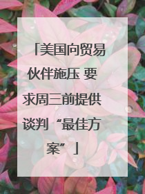 美国向贸易伙伴施压 要求周三前提供谈判“最佳方案”