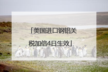 美国进口钢铝关税加倍4日生效