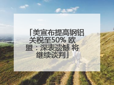 美宣布提高钢铝关税至50% 欧盟：深表遗憾 将继续谈判