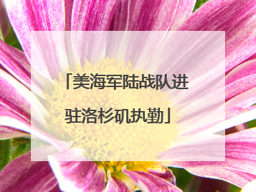 美海军陆战队进驻洛杉矶执勤