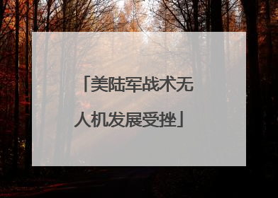 美陆军战术无人机发展受挫
