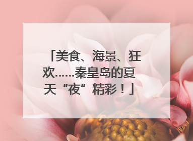 美食、海景、狂欢……秦皇岛的夏天“夜”精彩！
