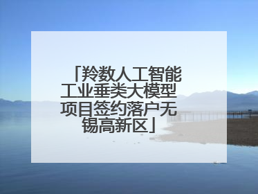 羚数人工智能工业垂类大模型项目签约落户无锡高新区