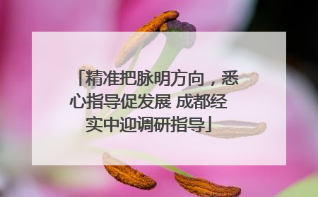 精准把脉明方向，悉心指导促发展 成都经实中迎调研指导