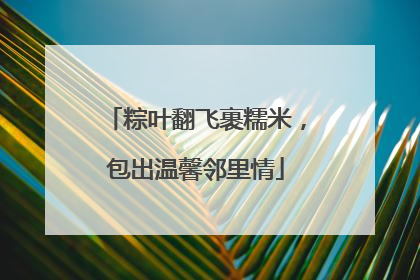 粽叶翻飞裹糯米，包出温馨邻里情