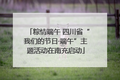 粽情端午 四川省“我们的节日·端午”主题活动在南充启动