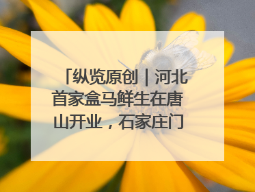 纵览原创｜河北首家盒马鲜生在唐山开业，石家庄门店预计8月开业