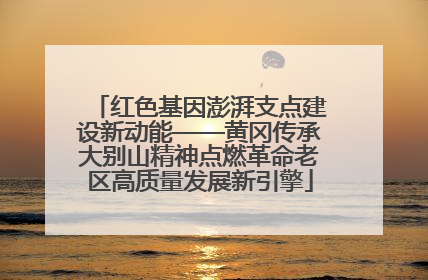 红色基因澎湃支点建设新动能——黄冈传承大别山精神点燃革命老区高质量发展新引擎