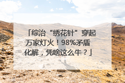 综治“绣花针”穿起万家灯火！98%矛盾化解，凭啥这么牛？