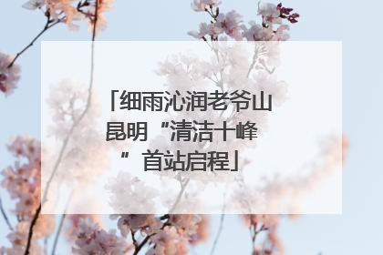 细雨沁润老爷山 昆明“清洁十峰”首站启程