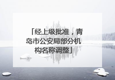 经上级批准，青岛市公安局部分机构名称调整