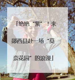 绝绝“紫”!来郧西县赴一场“莫奈花园”的浪漫