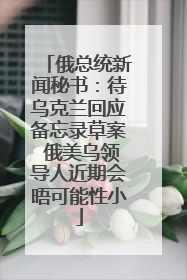 俄总统新闻秘书：待乌克兰回应备忘录草案 俄美乌领导人近期会晤可能性小