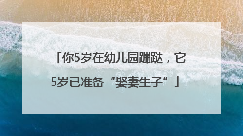 你5岁在幼儿园蹦跶，它5岁已准备“娶妻生子”