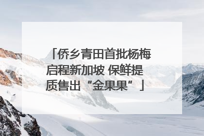 侨乡青田首批杨梅启程新加坡 保鲜提质售出“金果果”