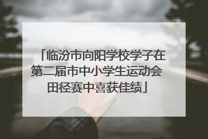 临汾市向阳学校学子在第二届市中小学生运动会田径赛中喜获佳绩