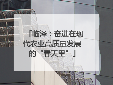 临泽：奋进在现代农业高质量发展的“春天里”