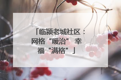 临颍老城社区：网格“暖治” 幸福“满格”