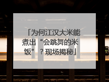 为何江汉大米能煮出“会跳舞的米饭”？现场揭秘