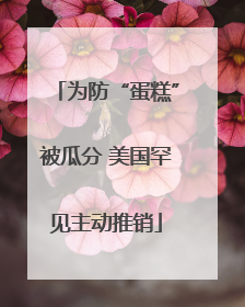 为防“蛋糕”被瓜分 美国罕见主动推销