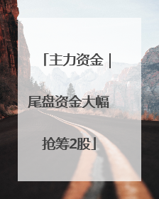 主力资金｜尾盘资金大幅抢筹2股
