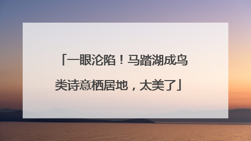 一眼沦陷！马踏湖成鸟类诗意栖居地，太美了