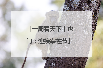 一周看天下丨也门：迎接宰牲节
