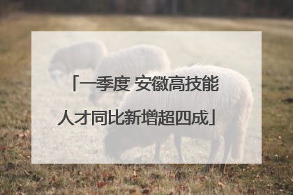 一季度 安徽高技能人才同比新增超四成