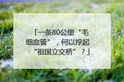 一条80公里“毛细血管”，何以撑起“祖国立交桥”？