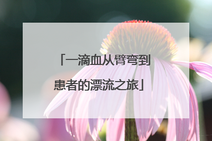 一滴血从臂弯到患者的漂流之旅
