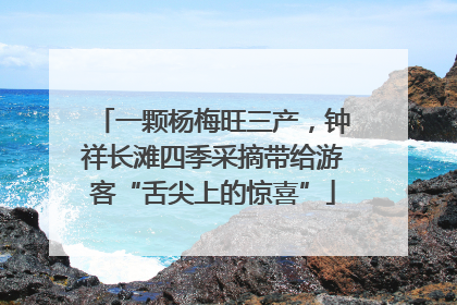 一颗杨梅旺三产，钟祥长滩四季采摘带给游客“舌尖上的惊喜”