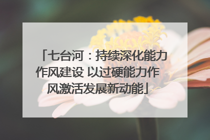 七台河：持续深化能力作风建设 以过硬能力作风激活发展新动能