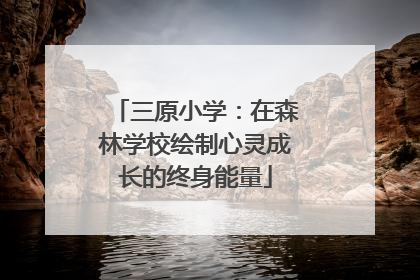三原小学：在森林学校绘制心灵成长的终身能量