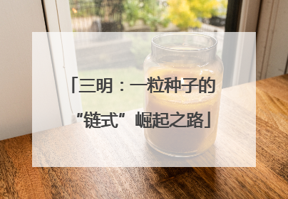三明：一粒种子的“链式”崛起之路
